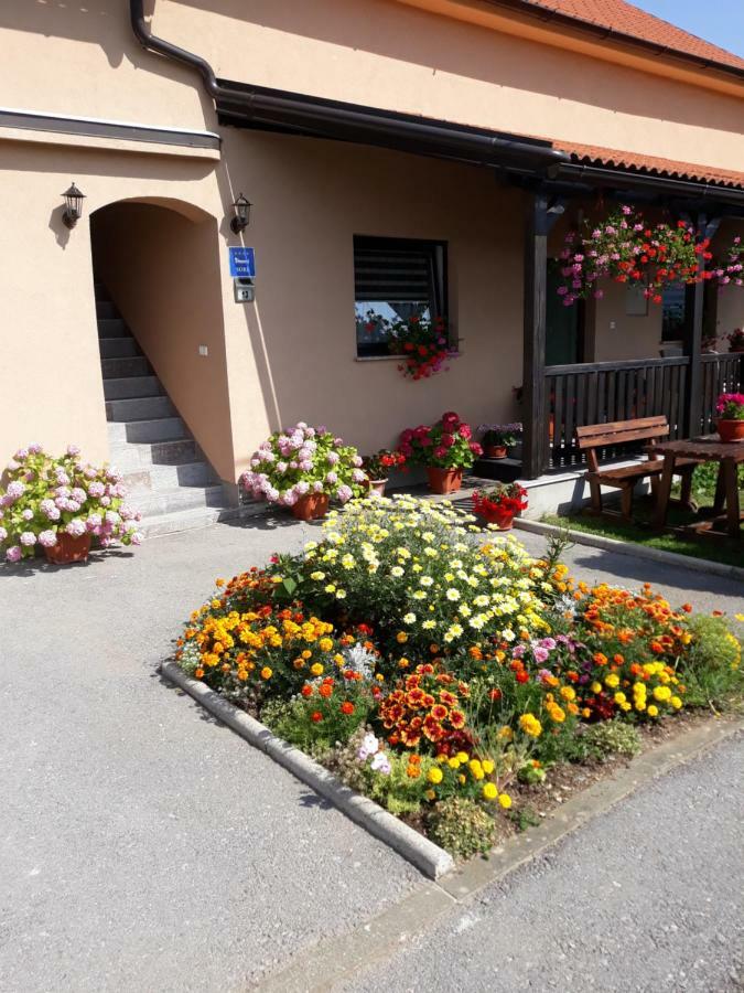 Guest House Vana Korenica Bagian luar foto
